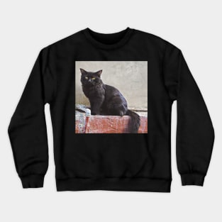 CAT LOVER AND LOVER ART Crewneck Sweatshirt